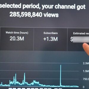 How much YouTube paid me for 300 million views...